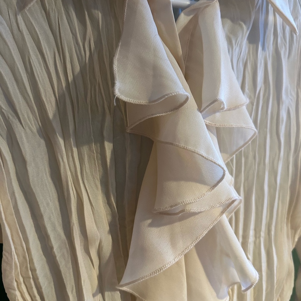 Vintage Ruffle Blouse - Picture 5 of 7